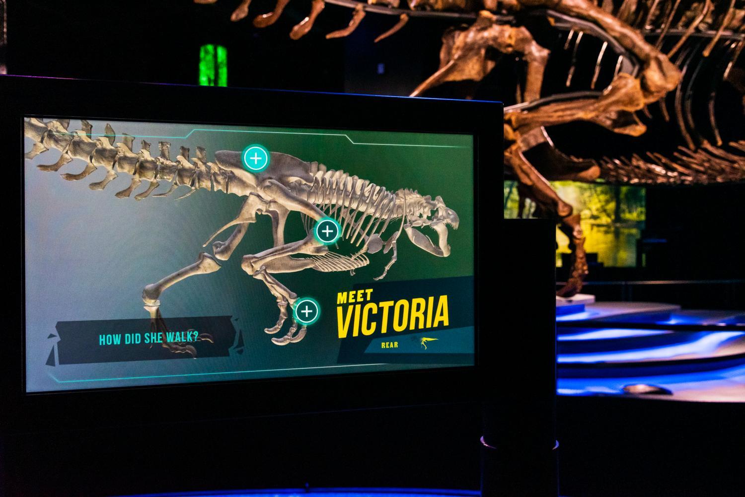Victoria the T. rex